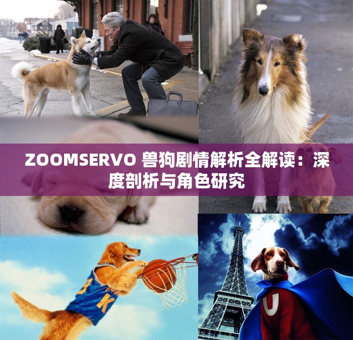 ZOOMSERVO 兽狗剧情解析全解读：深度剖析与角色研究