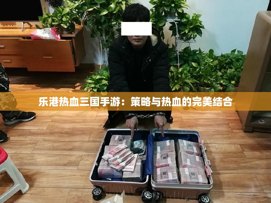 乐港热血三国手游：策略与热血的完美结合