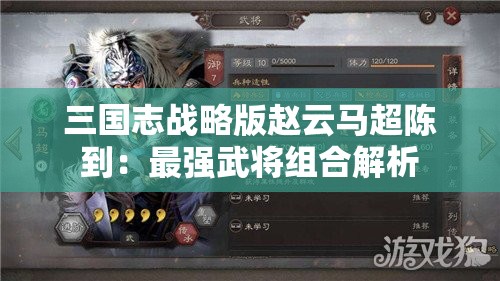 三国志战略版赵云马超陈到：最强武将组合解析