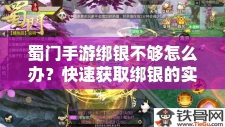 蜀门手游绑银不够怎么办？快速获取绑银的实用技巧