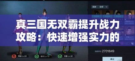 真三国无双霸提升战力攻略：快速增强实力的关键技巧