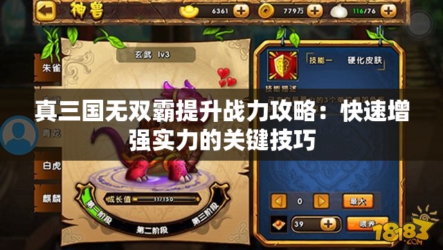 真三国无双霸提升战力攻略：快速增强实力的关键技巧